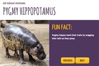 Hippo Kidscorner