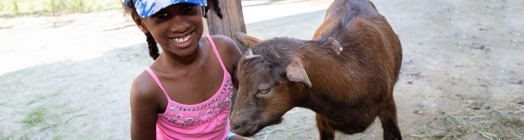 guest and goat in Franklin Farm