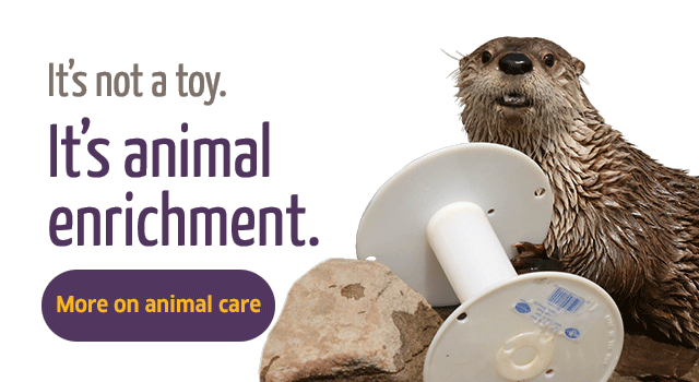 It's not a toy. It's animal enrichment.