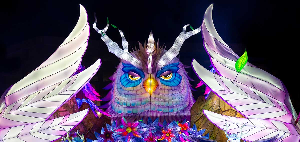 owl lantern at Boston Lights event