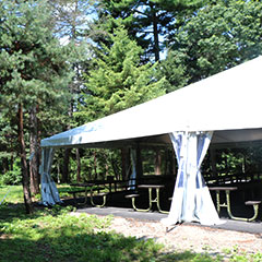 Pine Knoll tent