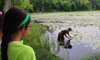 field conservationist