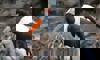 saddle-billed stork