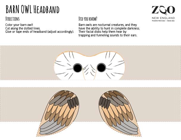barn owl headband