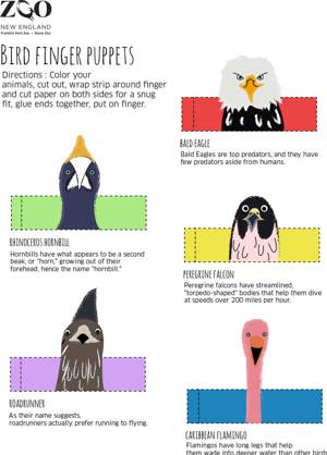 finger puppets-birds