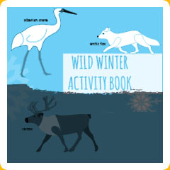 activity book