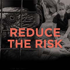 reduce the risk
