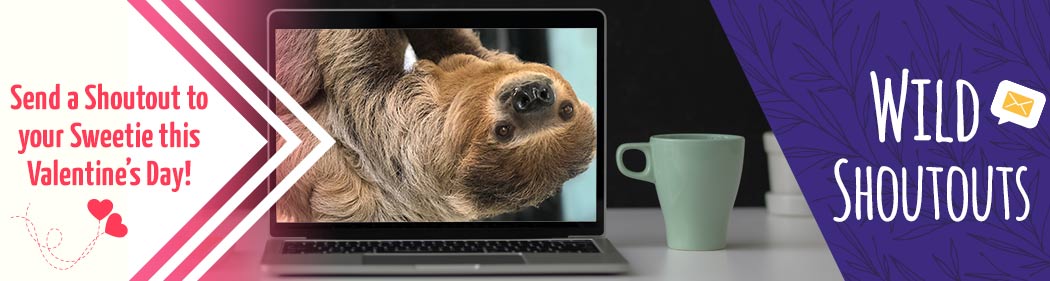 Valentine's shout out