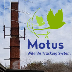 motus tracking system