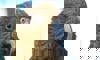 kea