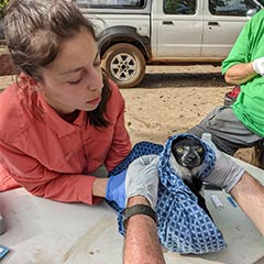 Conservation Genomics Scientist, Rachel Johnston, with lemur