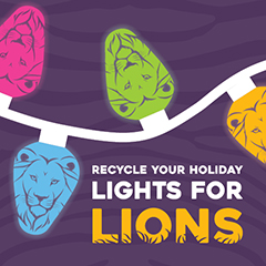 Lights for Lions