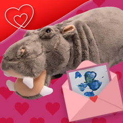 hippo plush with hoofprint in Valentine's envelope