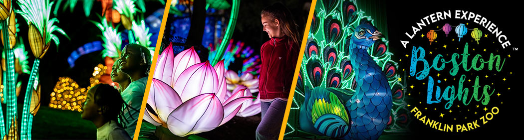 Montage of lanterns and guests at Boston Lights