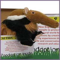 Anteater Zoodopt