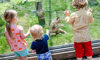 guests and gibbons