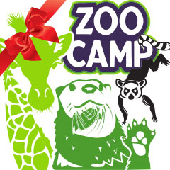 zoo camp