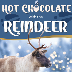 Reindeer Hotchocolate