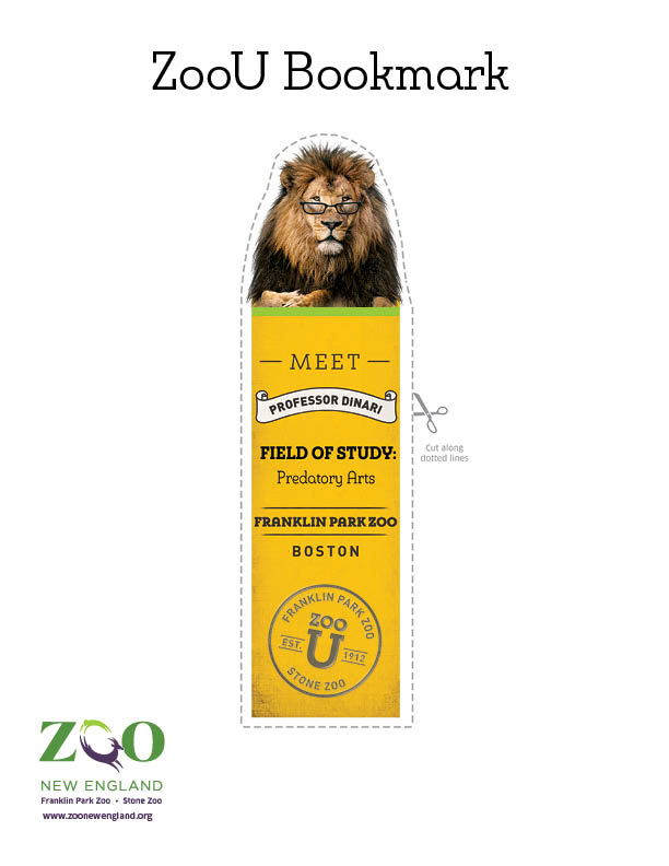 lion bookmark