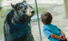 bear and guest