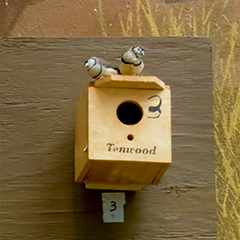 Finches2