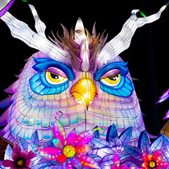 owl lantern at Boston Lights event
