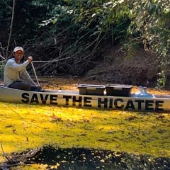 Save Hicatee Box