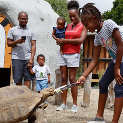 family feeding a tortoise in our Tortoise Experience