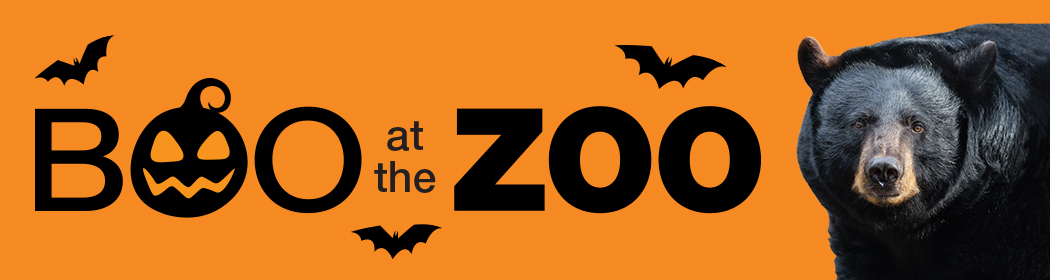 Boo at the Zoo logo with bear
