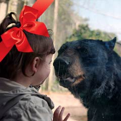 child meeting a bear face-to-face