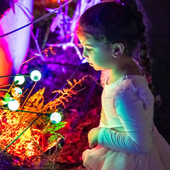 child looking at glowing fake eyeballs at Stone Zoo's Jack-'O-Lantern Nights