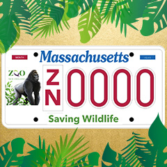 Zoo New England's "Saving Wildlife" license plate