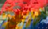scarlet macaw