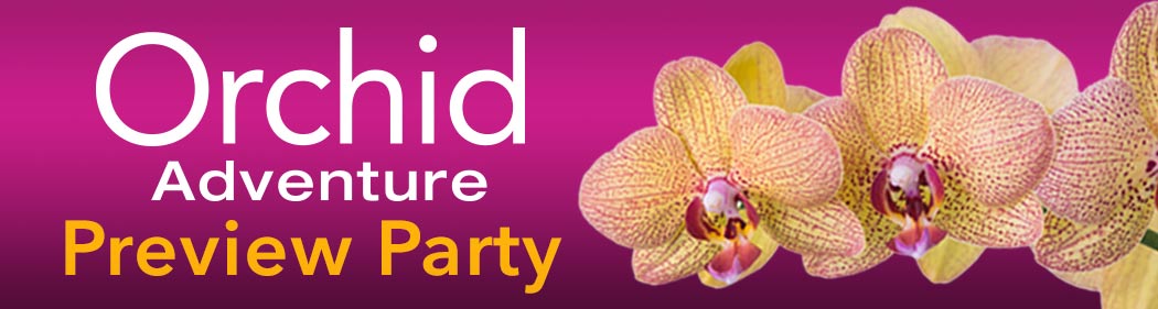 Orchid Adventure Preview Party