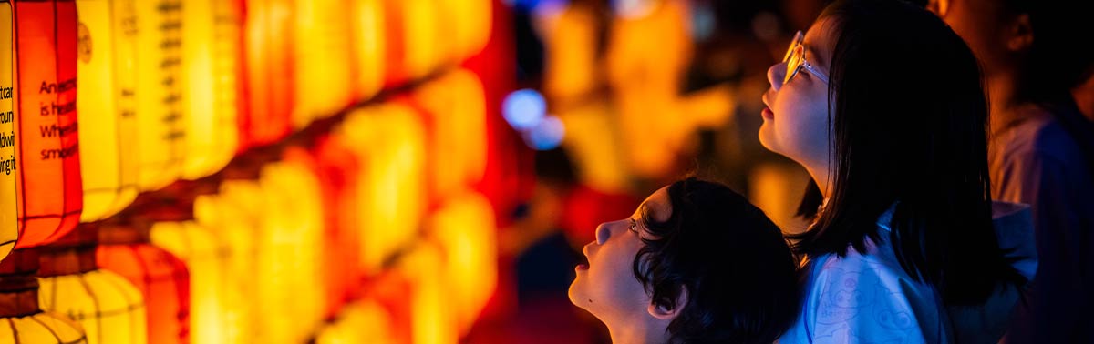 guests in front of lanterns at Boston Lights