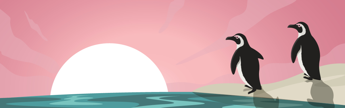 illustration of two penguins watching the sunset