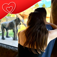Date at Franklin Park Zoo