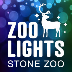 zoolights logo with colorful lights in the background