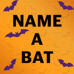 name a bat