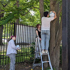 installing heat sensor in Franklin Park