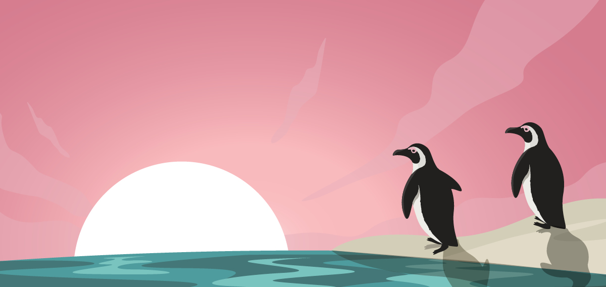 penguin illustration of two penguins looking at the sunset