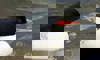 scaly-sided merganser