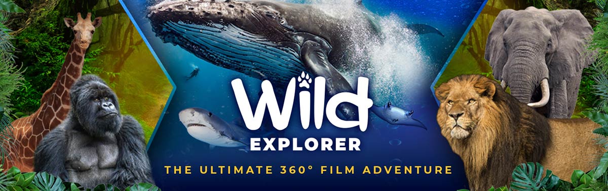 montage of virtual reality footage, including gorillas, whales, and Safari animals