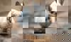 chinchilla