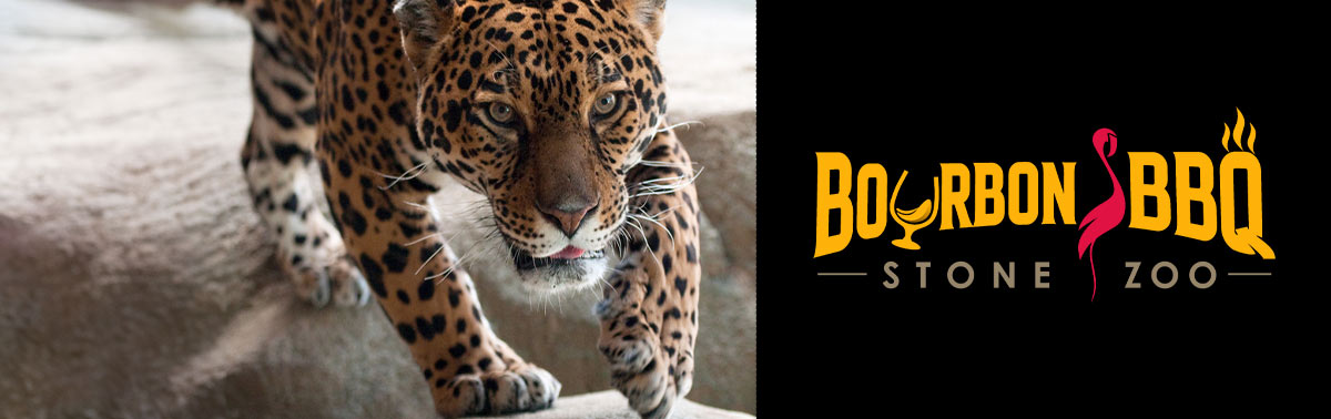 Bourbon and BBQ logo and jaguar