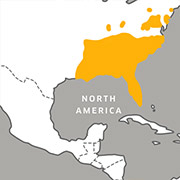 range map of the corn snake