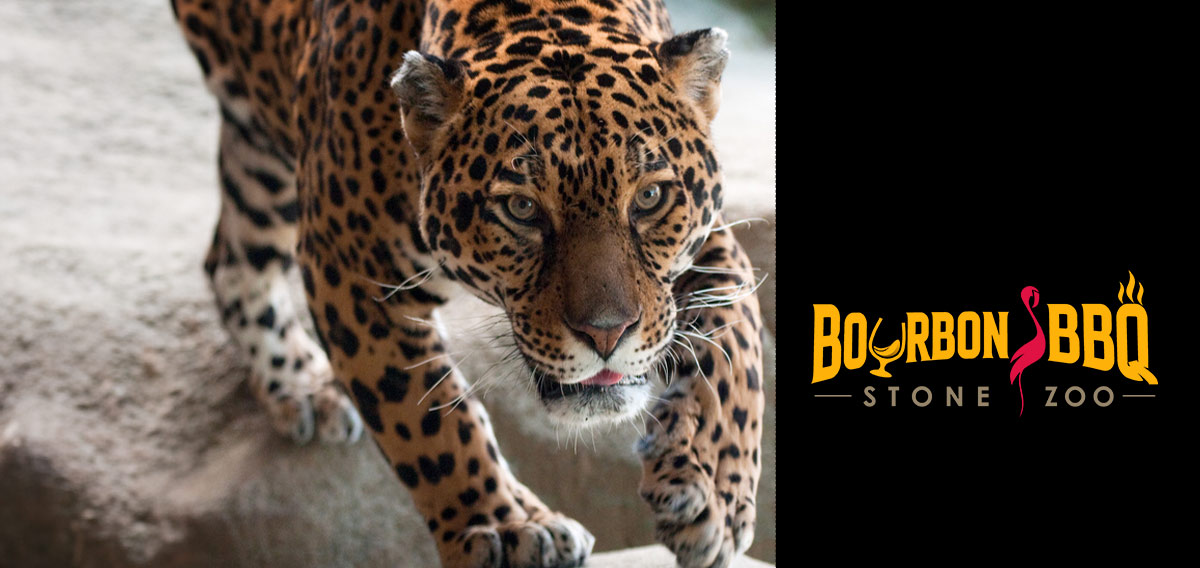 Bourbon and BBQ logo and jaguar