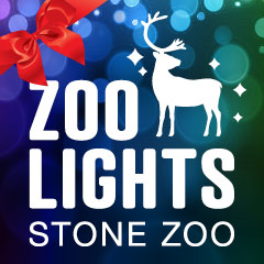 zoolights logo with a wrapped bow