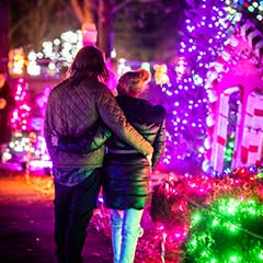 couple at zoolights