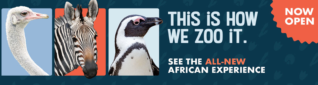 banner with animals you'll see at the African Experience: ostrich, zebra, and penguin